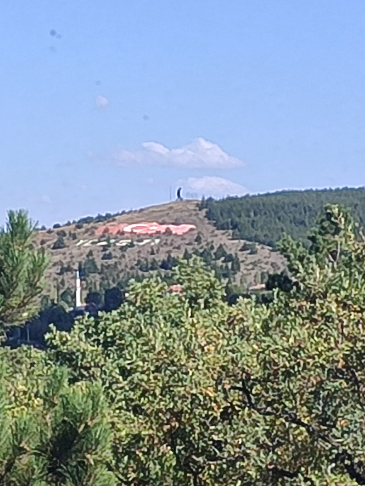 Çamlık Et Lokantası