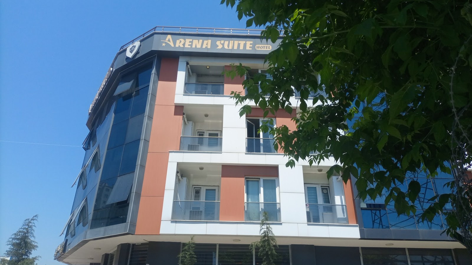 Arena Suite