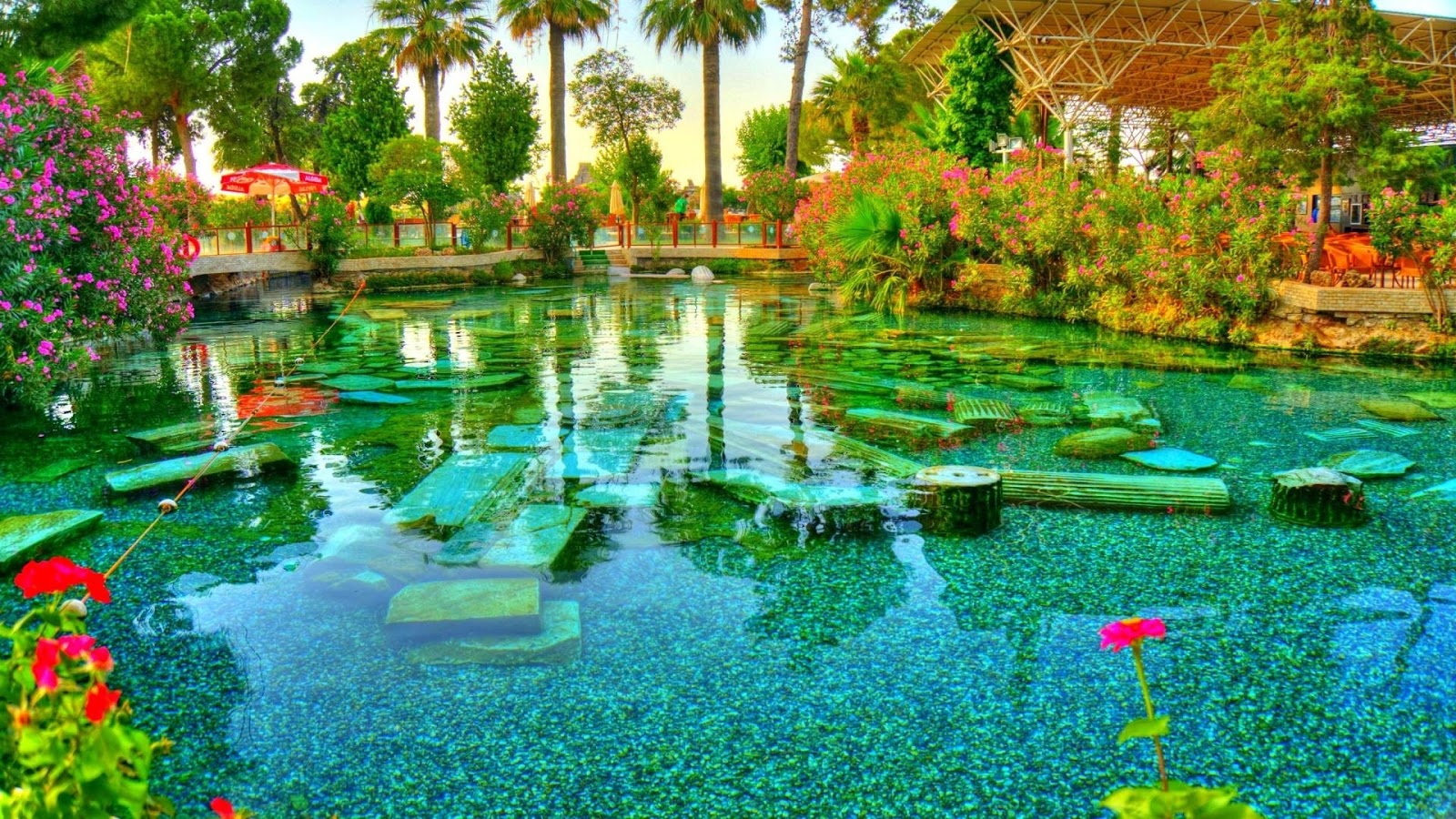 Dolphin Yunus Hotel