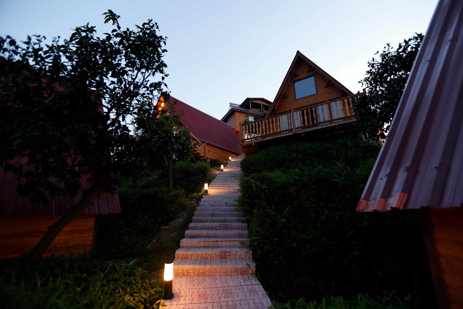 Rize