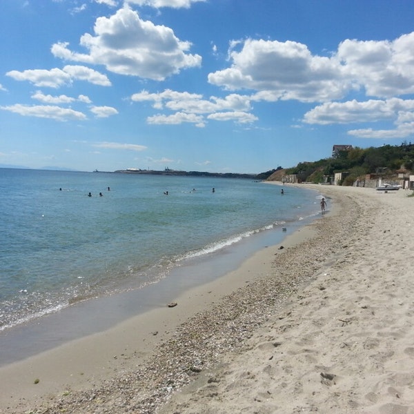 Papatya Plajı
