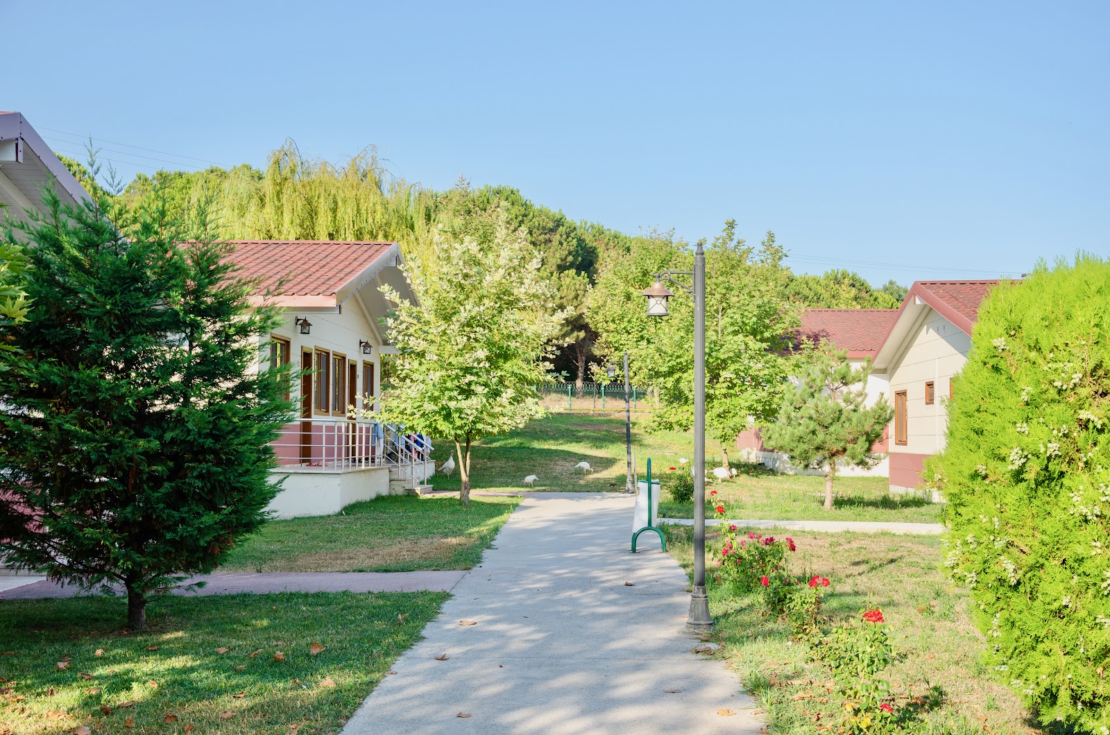 Rizom Tatil Köyü