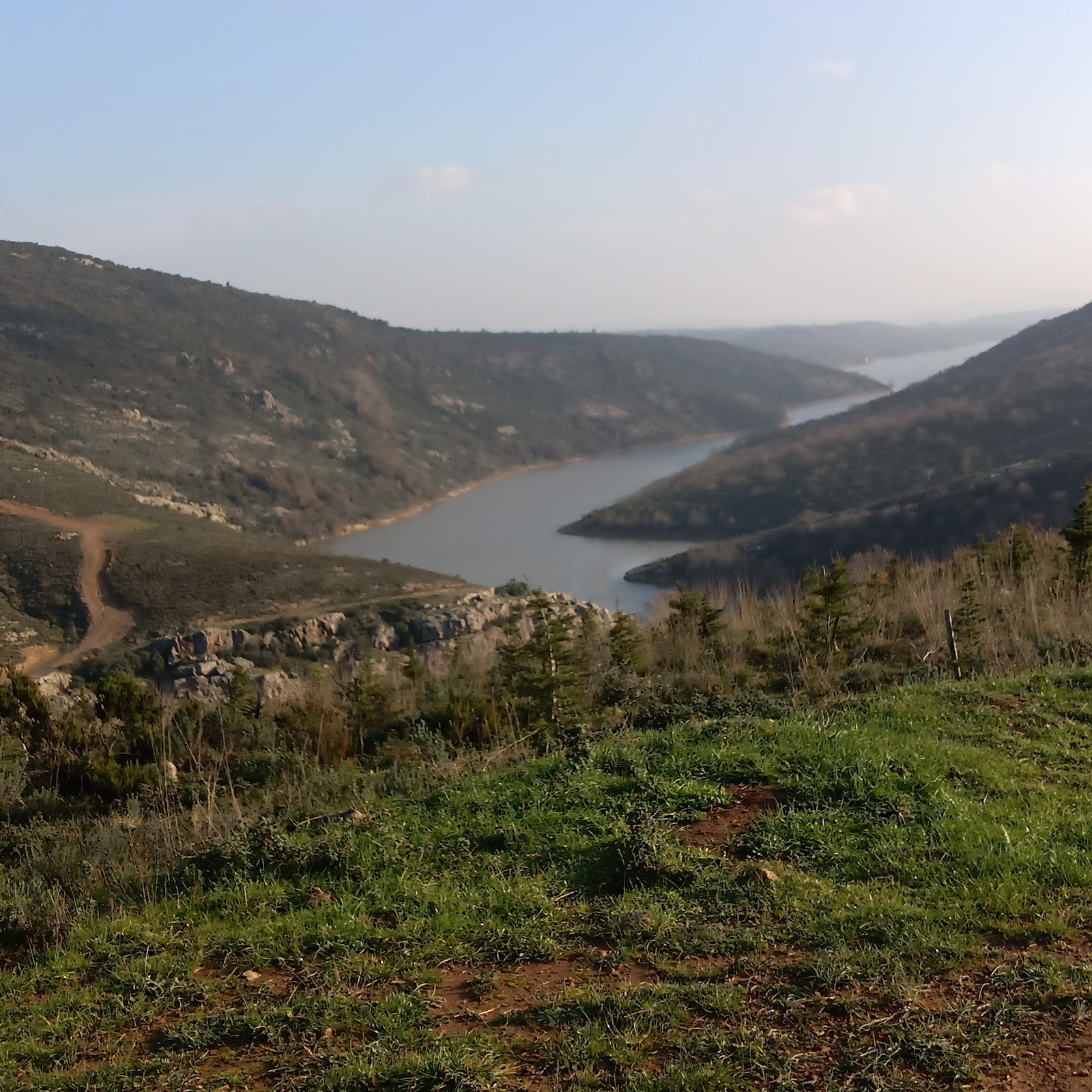 Sancaktepe Belediyesi Ağaçlandırma Alanı