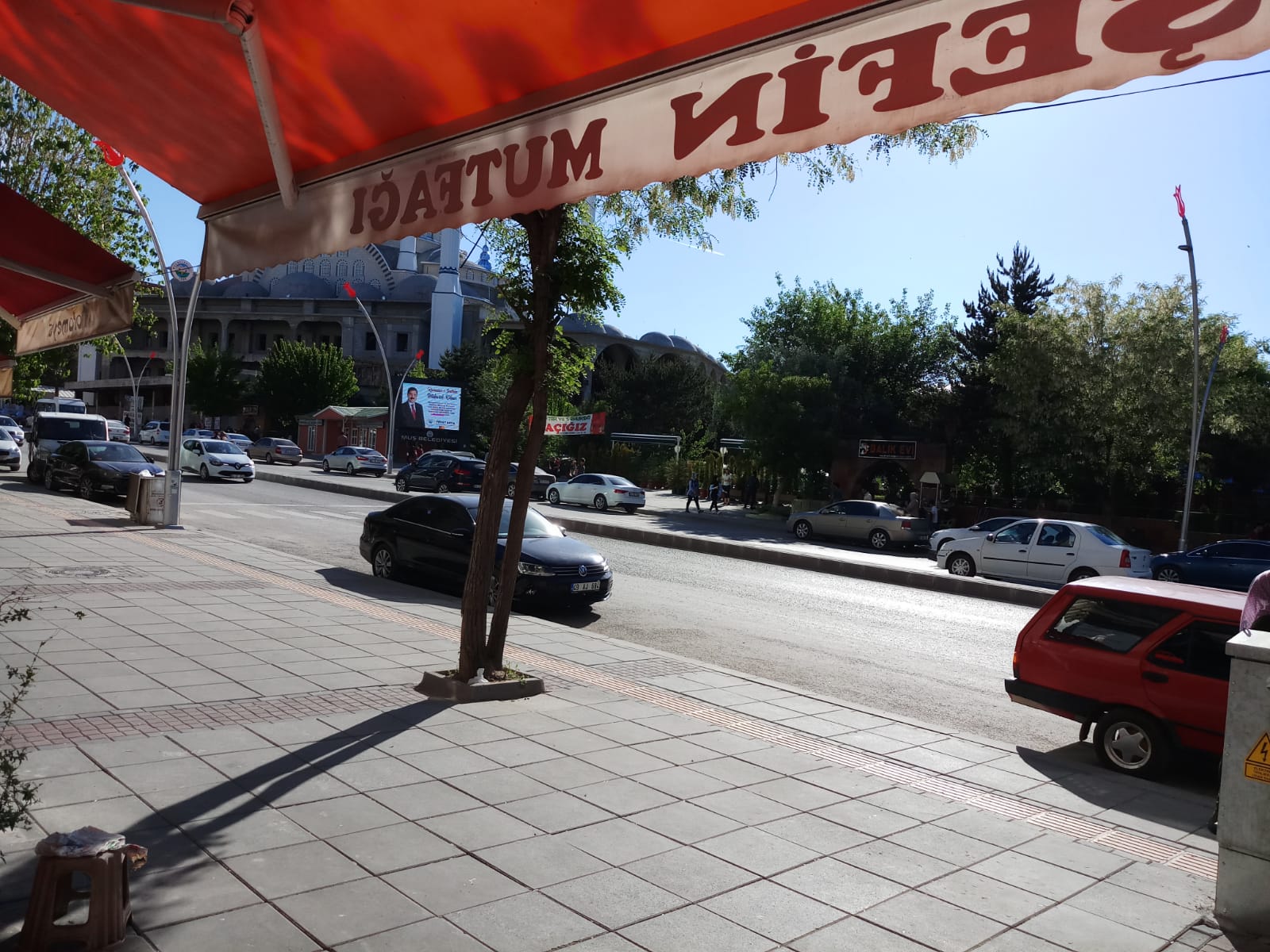 Muş