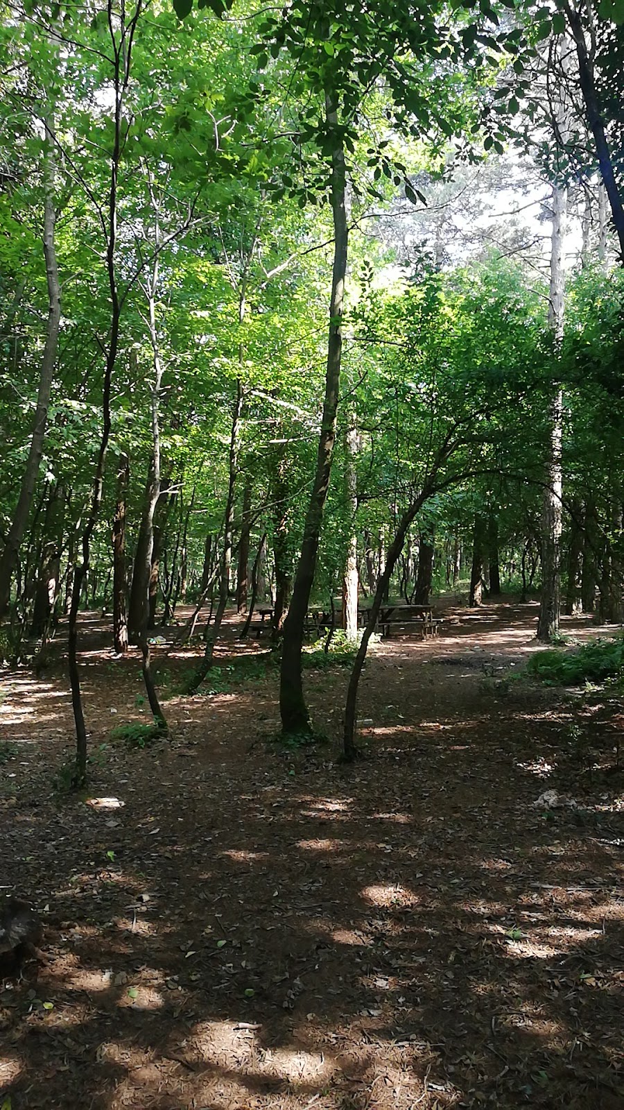 Taşdelen Mesire Alanı
