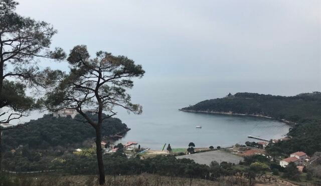 Değirmen Tepesi Kutrulomilo