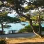 Aşıklar Yolu Sokak Büyükada -Adalar