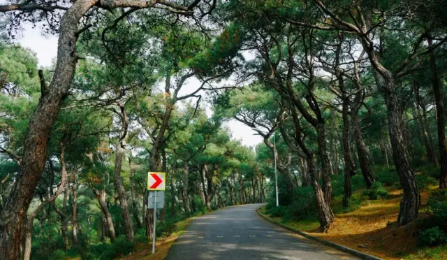 Aşıklar Yolu Sokak Büyükada -Adalar fotoğrafı